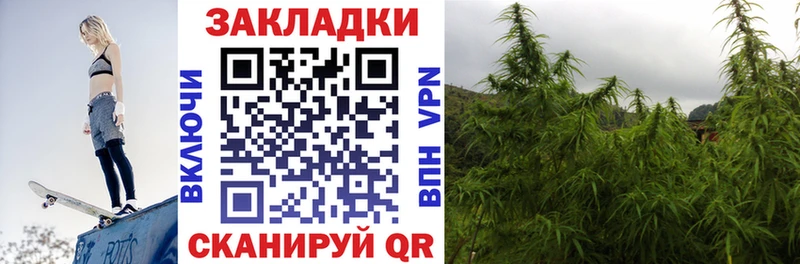 Наркошоп купить ГАШ  Кокаин  Псилоцибиновые грибы  Каннабис  Мефедрон  Alpha-PVP  Надым