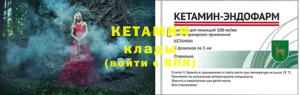 apvp Ельня