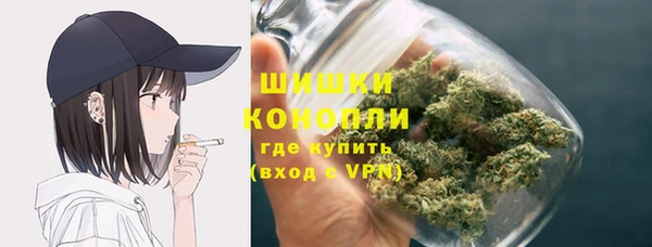 spice Елизово