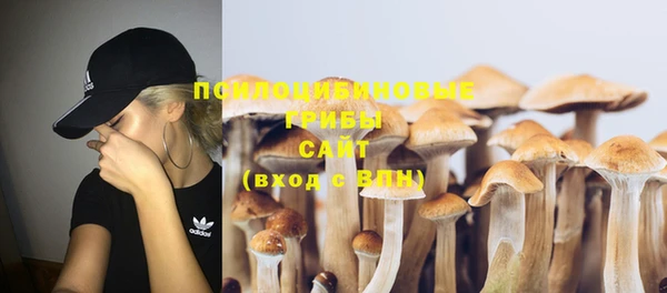 spice Елизово