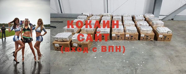 apvp Ельня