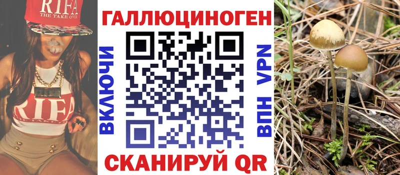 Купить  Надым  Псилоцибиновые грибы MAGIC MUSHROOMS 